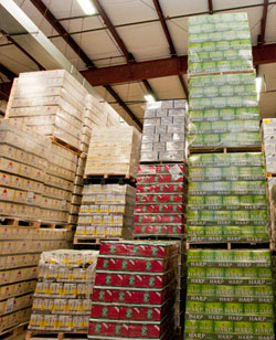 Beverages Ready to be Distributed for Warehouse